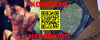 стафф Новозыбков