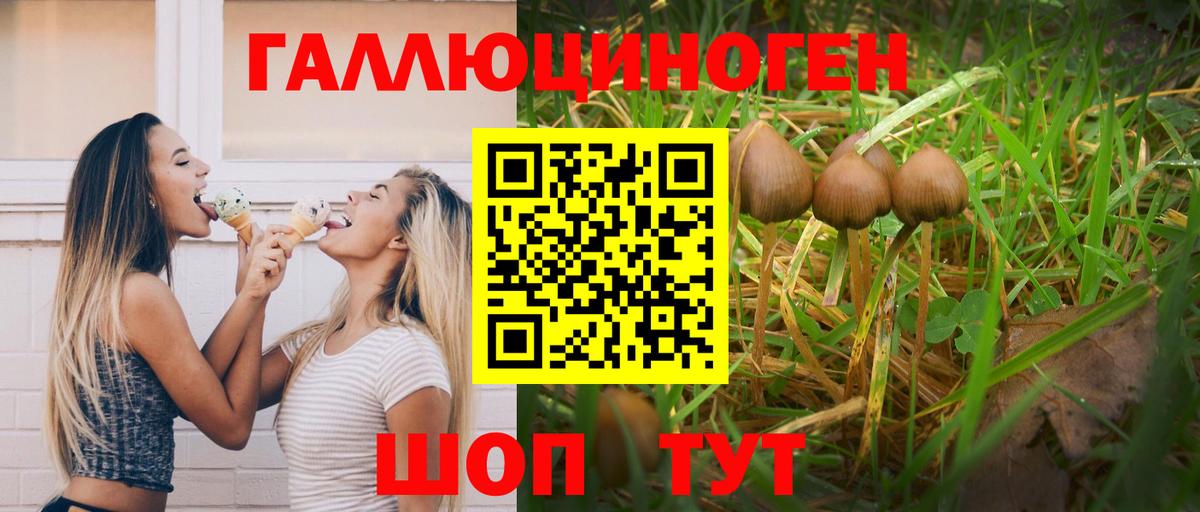 Галлюциногенные грибы прущие грибы Тихвин