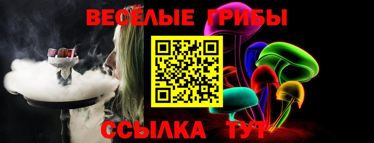 Тихвин  Галлюциногенные грибы Psilocybine cubensis  Вход с VPN 